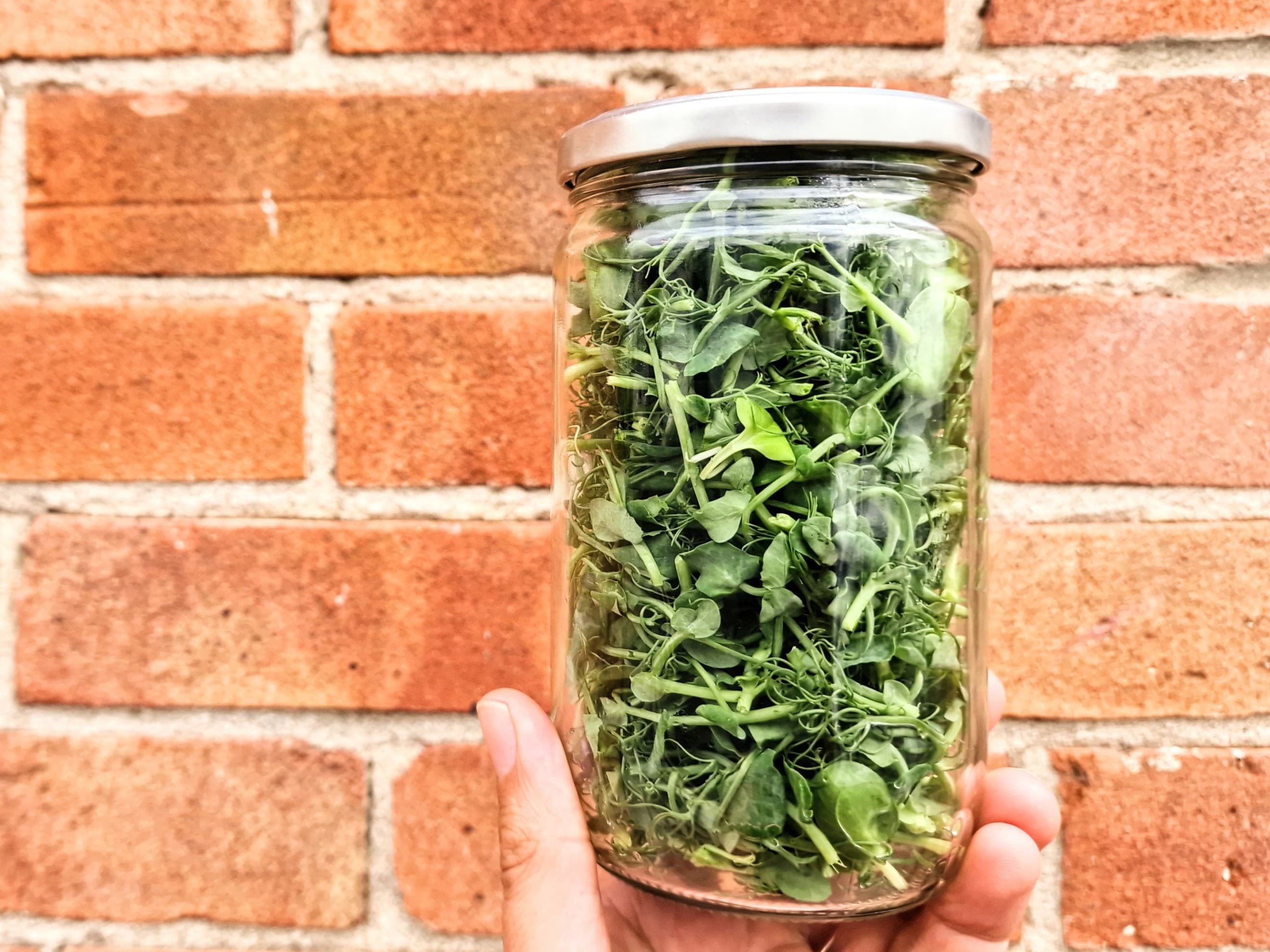 Micro Salad Mix (Sunflower, pea and radish shoots in returnable glass jars)
